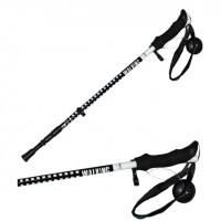 DS1 Carbon