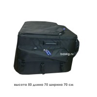 Кофр на снегоход BRP Expedition RevGen4 SWT 50