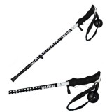 DS1 Carbon